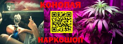 шишки Туймазы