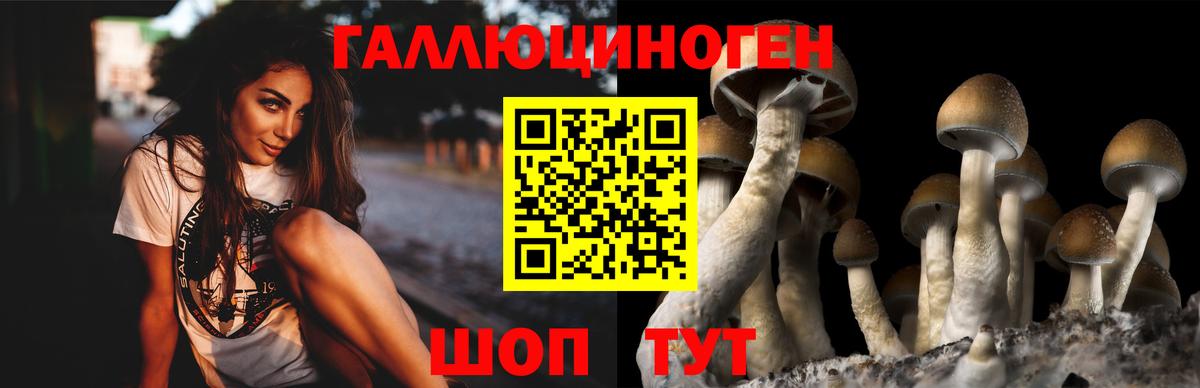 Галлюциногенные грибы Psilocybe  Вход с VPN  Москва  Псилоцибиновые грибы мухоморы 